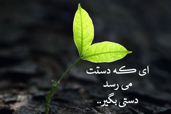 متن کمک به نیازمندان تکیه گاه مرتضی علی