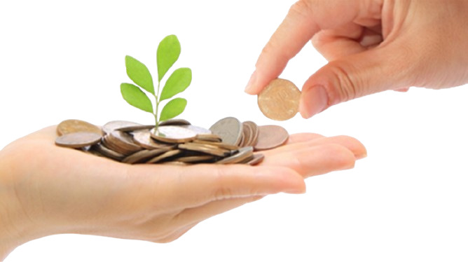 کمک به نیاز مند پول در دست مثل گیاه رشد تکیه گاه مرتضی علی علیه السلام